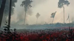 Symbaroum – Alberetor – The Haunted Waste -Mythic Games Sale symbaroum alberetor the haunted waste symbaroum free league publishing 946257